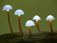 led蘑菇仿生景观灯16